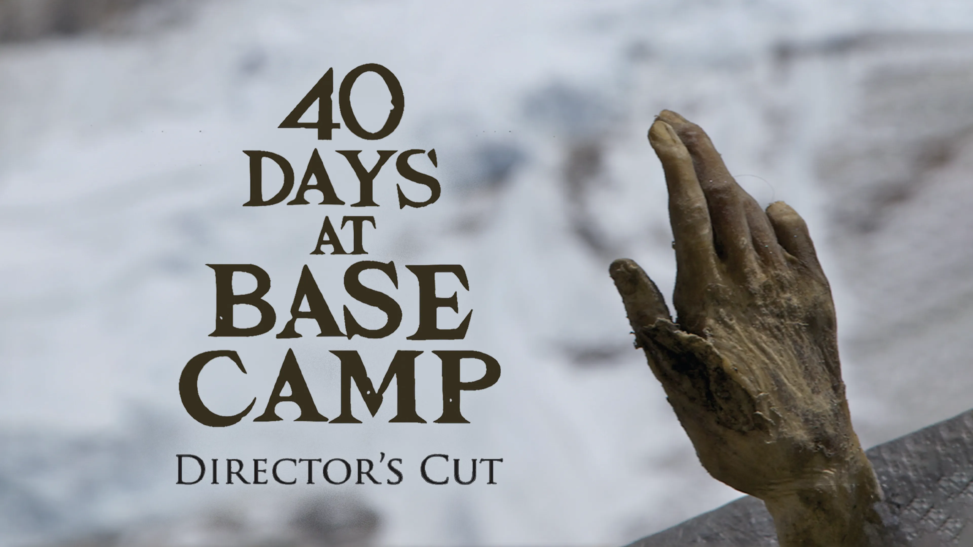 40 Days at Base Camp: Director's Cut poster